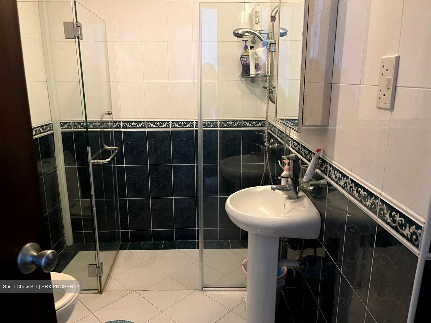 Cairnhill Plaza (D9), Apartment #554224121